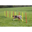 Kerbl obstacole de agilitate pentru câini, set, 3 tipuri  