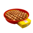 Eclozoare automate pentru ouă PUISOR IO-104 AUTOMATIC