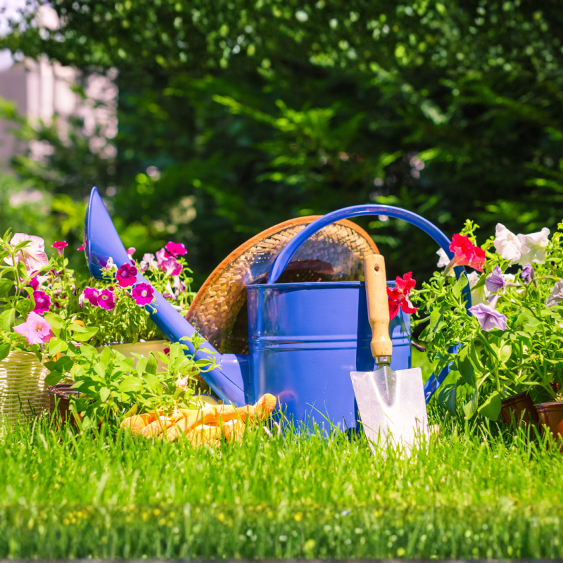 Cum să îngrijiți grădina în timpul vacanței? Pregătiți plantele pentru perioada în care veți lipsi