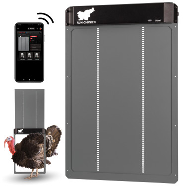 Ușă automată XXL pentru coteț RUN-CHICKEN Giant